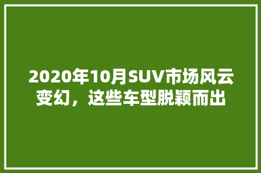 2020年10月SUV市场风云变幻，这些车型脱颖而出