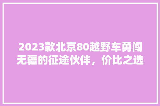 2023款北京80越野车勇闯无疆的征途伙伴，价比之选再升级
