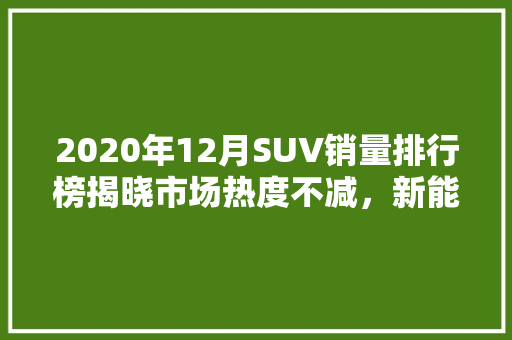 2020年12月SUV销量排行榜揭晓市场热度不减，新能源汽车崛起  第1张