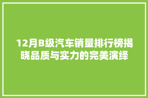 12月B级汽车销量排行榜揭晓品质与实力的完美演绎