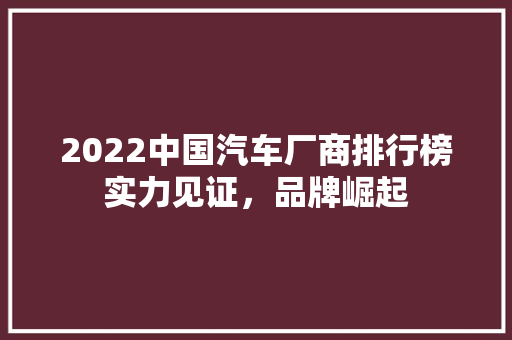 2022中国汽车厂商排行榜实力见证，品牌崛起