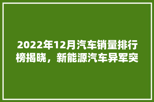 2022年12月汽车销量排行榜揭晓，新能源汽车异军突起，传统车企面临挑战