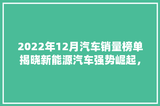 2022年12月汽车销量榜单揭晓新能源汽车强势崛起，传统车企面临挑战  第1张