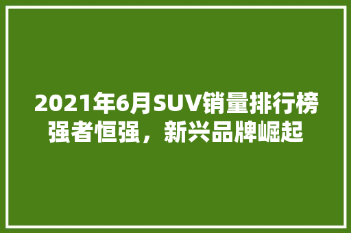 2021年6月SUV销量排行榜强者恒强，新兴品牌崛起