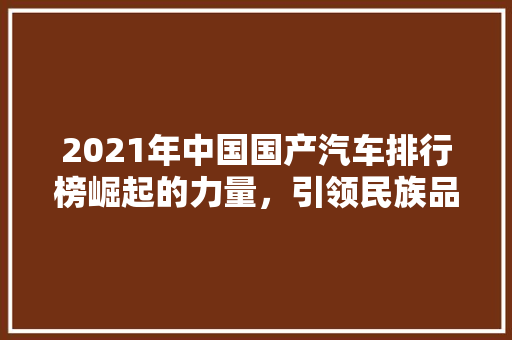 2021年中国国产汽车排行榜崛起的力量，引领民族品牌新篇章