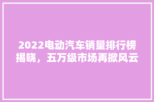 2022电动汽车销量排行榜揭晓，五万级市场再掀风云
