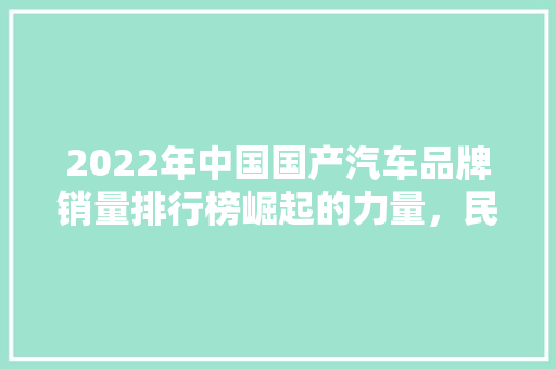 2022年中国国产汽车品牌销量排行榜崛起的力量，民族品牌的辉煌