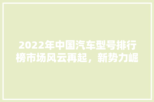 2022年中国汽车型号排行榜市场风云再起，新势力崛起