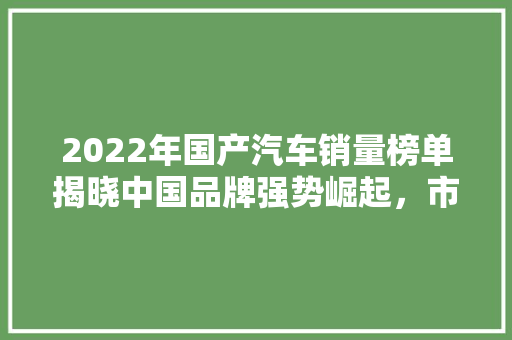 2022年国产汽车销量榜单揭晓中国品牌强势崛起，市场表现亮眼