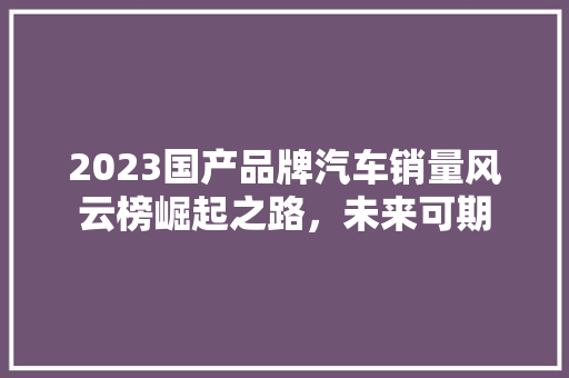 2023国产品牌汽车销量风云榜崛起之路，未来可期