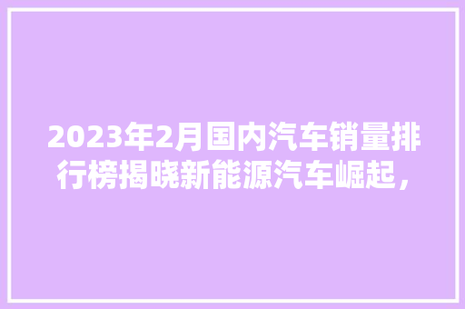 2023年2月国内汽车销量排行榜揭晓新能源汽车崛起，合资品牌再战