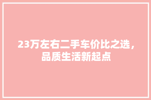 23万左右二手车价比之选，品质生活新起点