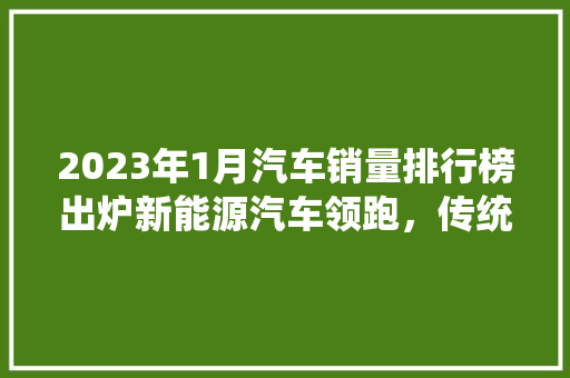 2023年1月汽车销量排行榜出炉新能源汽车领跑，传统车企转型加速