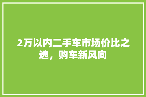 2万以内二手车市场价比之选，购车新风向