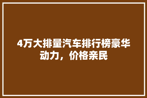 4万大排量汽车排行榜豪华动力，价格亲民