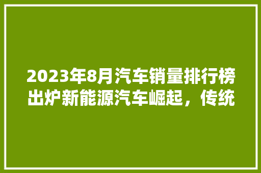 2023年8月汽车销量排行榜出炉新能源汽车崛起，传统车企面临挑战  第1张