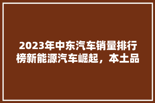 2023年中东汽车销量排行榜新能源汽车崛起，本土品牌崭露头角