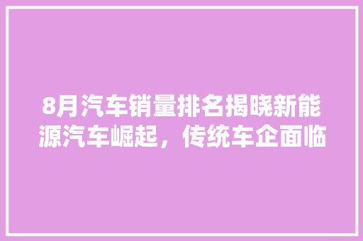 8月汽车销量排名揭晓新能源汽车崛起，传统车企面临挑战