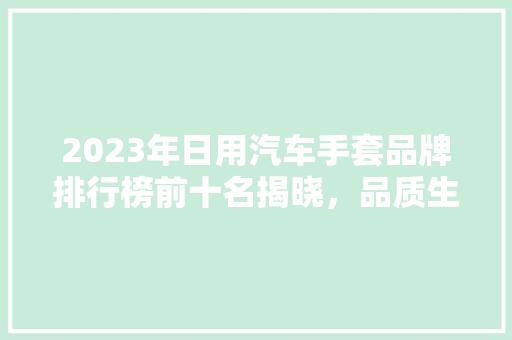 2023年日用汽车手套品牌排行榜前十名揭晓，品质生活从细节开始