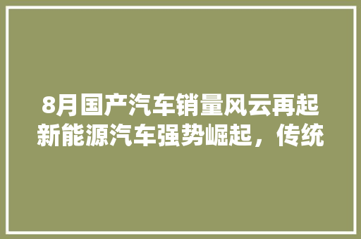 8月国产汽车销量风云再起新能源汽车强势崛起，传统燃油车稳扎稳打