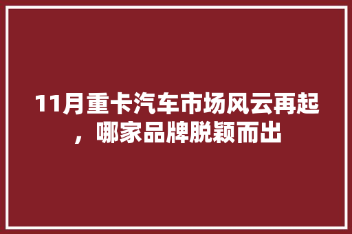 11月重卡汽车市场风云再起，哪家品牌脱颖而出