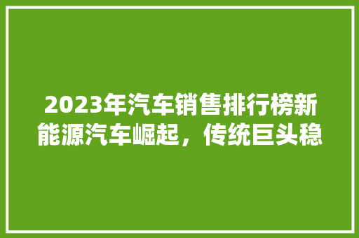 2023年汽车销售排行榜新能源汽车崛起，传统巨头稳居前列