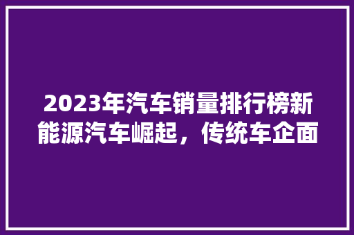 2023年汽车销量排行榜新能源汽车崛起，传统车企面临挑战