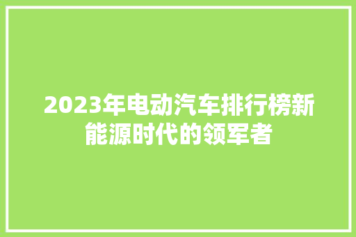 2023年电动汽车排行榜新能源时代的领军者