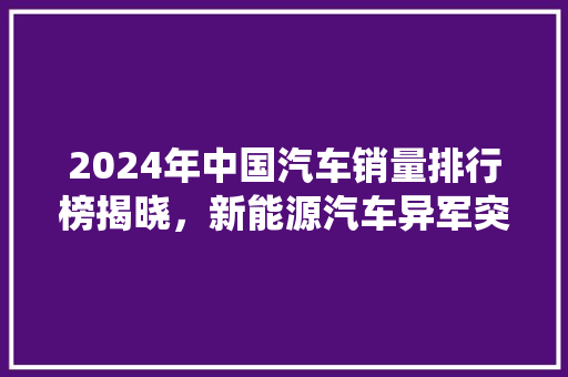 2024年中国汽车销量排行榜揭晓，新能源汽车异军突起，传统车企面临挑战