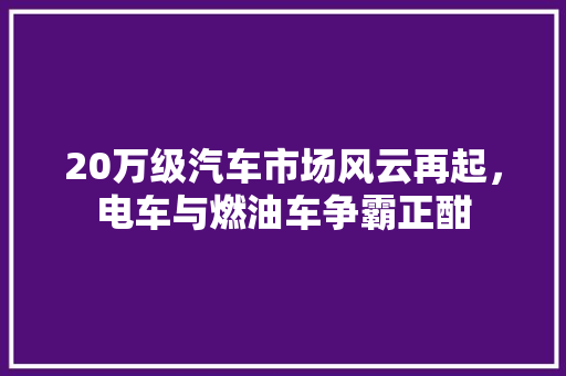 20万级汽车市场风云再起，电车与燃油车争霸正酣  第1张