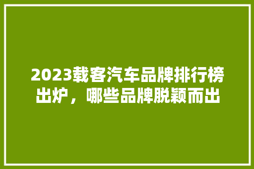 2023载客汽车品牌排行榜出炉，哪些品牌脱颖而出