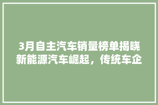 3月自主汽车销量榜单揭晓新能源汽车崛起，传统车企砥砺前行  第1张