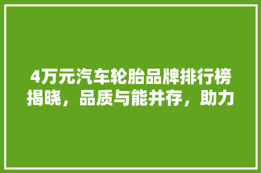 4万元汽车轮胎品牌排行榜揭晓，品质与能并存，助力行车安全