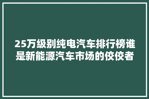 25万级别纯电汽车排行榜谁是新能源汽车市场的佼佼者  第1张