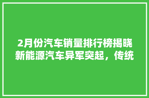 2月份汽车销量排行榜揭晓新能源汽车异军突起，传统车企面临挑战