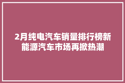 2月纯电汽车销量排行榜新能源汽车市场再掀热潮