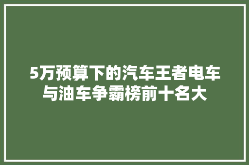 5万预算下的汽车王者电车与油车争霸榜前十名大