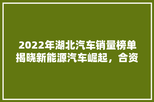 2022年湖北汽车销量榜单揭晓新能源汽车崛起，合资品牌仍占据主导