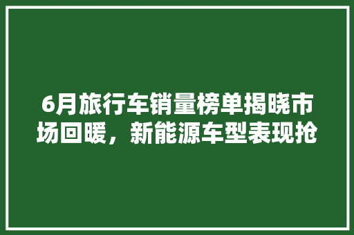 6月旅行车销量榜单揭晓市场回暖，新能源车型表现抢眼