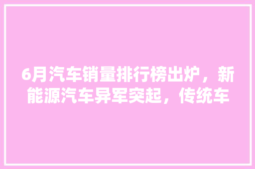 6月汽车销量排行榜出炉，新能源汽车异军突起，传统车企面临挑战