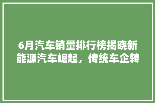 6月汽车销量排行榜揭晓新能源汽车崛起，传统车企转型加速