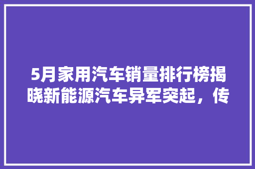 5月家用汽车销量排行榜揭晓新能源汽车异军突起，传统车企面临挑战