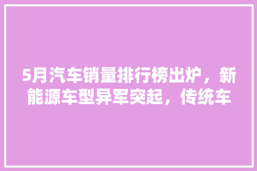5月汽车销量排行榜出炉，新能源车型异军突起，传统车企面临挑战