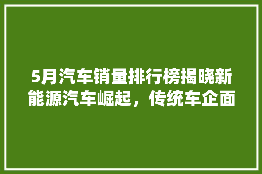 5月汽车销量排行榜揭晓新能源汽车崛起，传统车企面临挑战