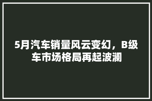 5月汽车销量风云变幻，B级车市场格局再起波澜