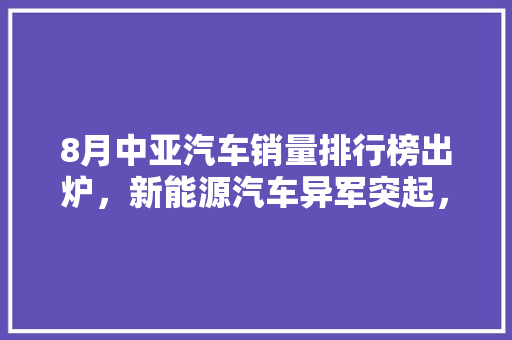 8月中亚汽车销量排行榜出炉,新能源汽车异军突起,市场格局再掀风云 第1张 8月中亚汽车销量排行榜出炉,新能源汽车异军突起,市场格局再掀风云 第1张