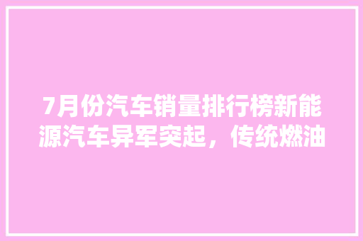 7月份汽车销量排行榜新能源汽车异军突起，传统燃油车面临挑战