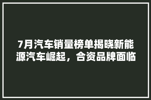 7月汽车销量榜单揭晓新能源汽车崛起，合资品牌面临挑战  第1张