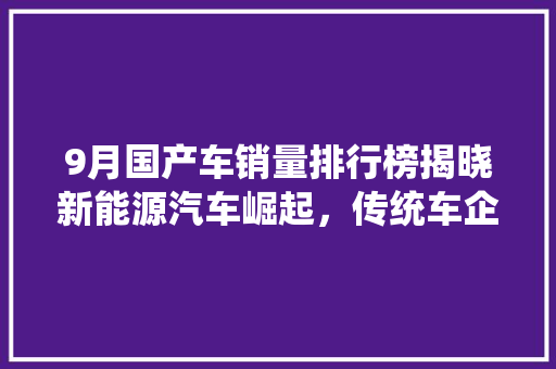 9月国产车销量排行榜揭晓新能源汽车崛起，传统车企转型加速