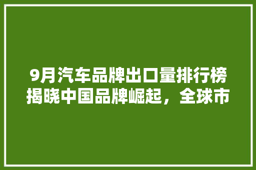 9月汽车品牌出口量排行榜揭晓中国品牌崛起，全球市场再掀波澜